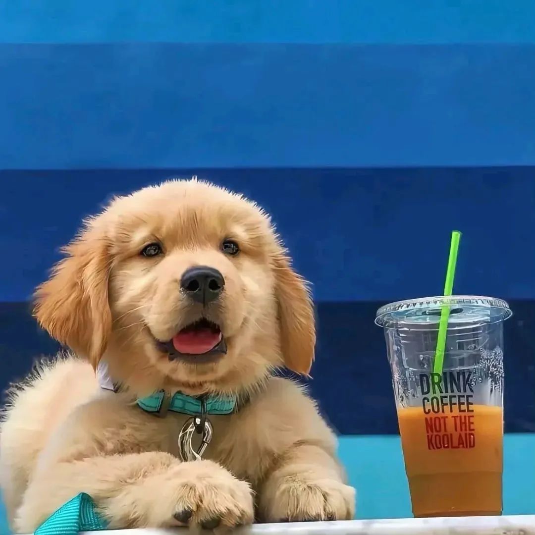 金融类资格证考试